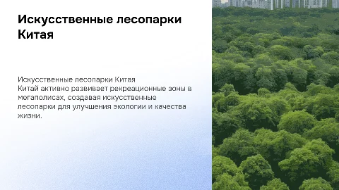 Опыт Китая в создании искусственных лесопарков в мегаполисах