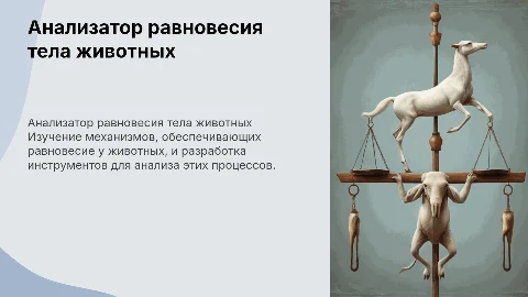 Анализатор равновесия тела животных