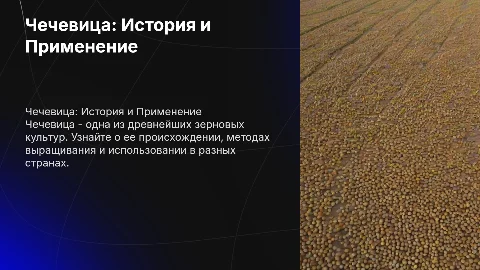 Чечевица: История и Применение зерновой культуры