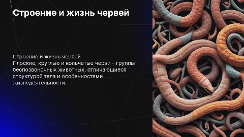 Особенности строения и жизнедеятельности червей