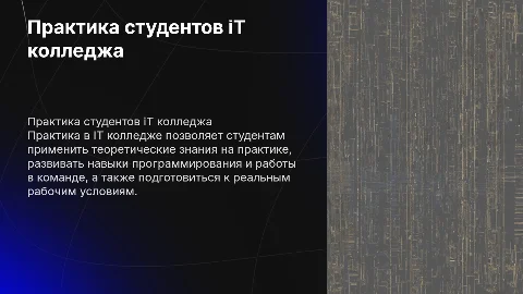 описание практики студентов iT колледжа