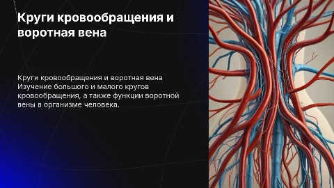 Круги кровообращения,воротная вена