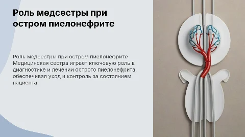 Роль медицинской сестры в лечении острого пиелонефрита