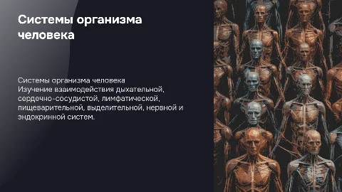 Органы и системы организма человека: презентация для студентов