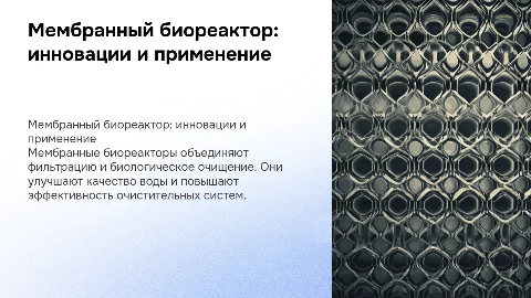 Мембранный биореактор