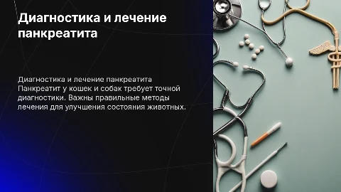 Панкреатит у кошек и собак: диагностика и лечение
