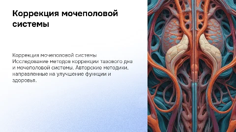 Прямые техники коррекции мочеполовой системы и тазового дна