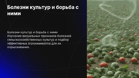 Картинки болезней сельскохозяйственной культуры и агрохимикаты
