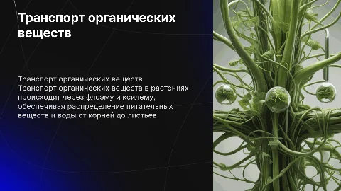 транспорт органических веществ в растении
