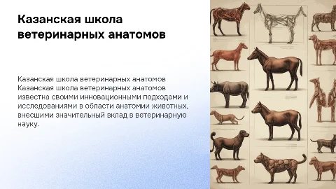 казанская школа ветеринарных анатомов