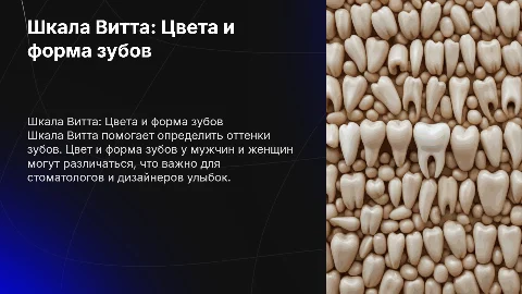 Шкала Витта: Цвета зубов и особенности у мужчин и женщин
