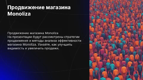 Продвижение и анализ магазина Monoliza