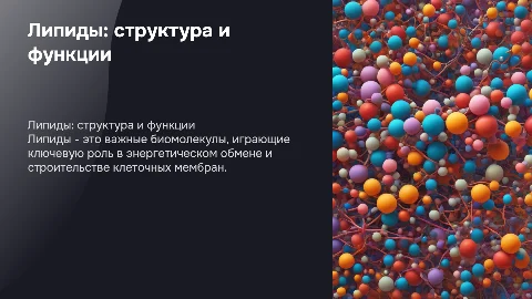 Презентация по биологии: Липиды, их строение и функции