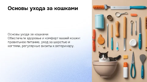 Базовый уход для кошек