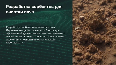 Разработка сорбентов для детоксикации почв загрязненных металлами