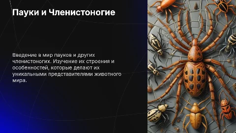 По биологии: пауки и членистоногие с картинками и их строение