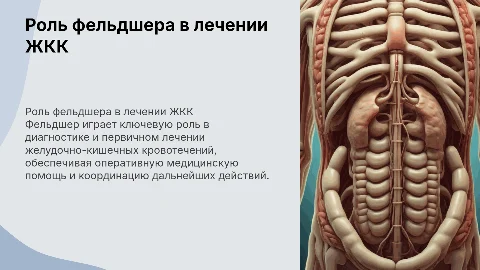 Роль фельдшера в диагностике и лечении ЖКК