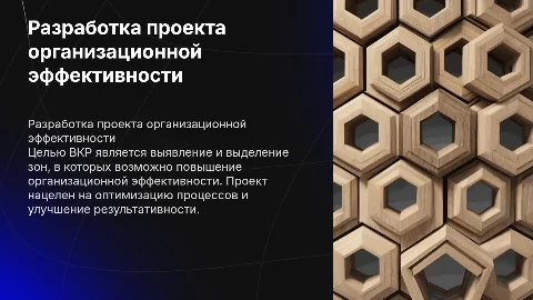 Разработка проекта по выделению зон организационной эффективности