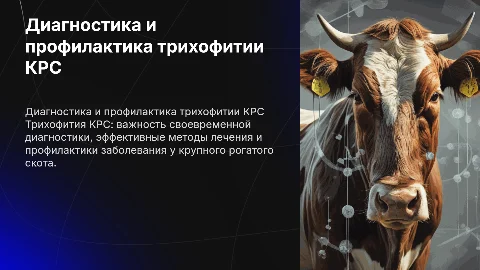 Диагностика, лечение и профилактика трихофитии КРС