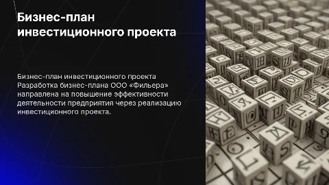 Разработка бизнес-плана инвестиционного проекта для ООО «Фильера»