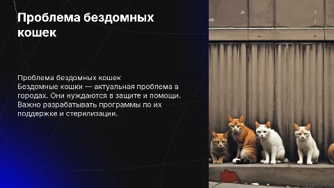 бездомные кошки