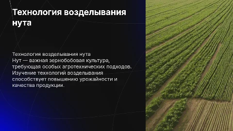 Технология возделывания нута