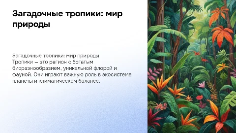 тропики