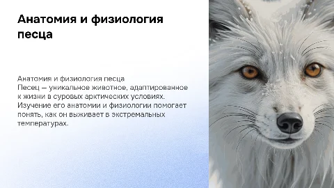 Анатомия и физиология песца