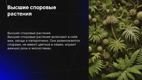 Высшие споровые растения
