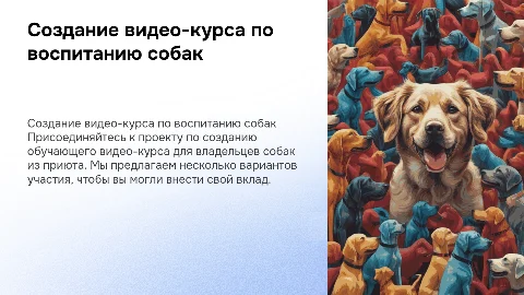 Создание видео-курса по воспитанию собак из приюта