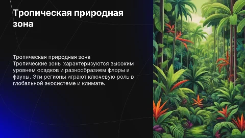 Тропическая природная зона