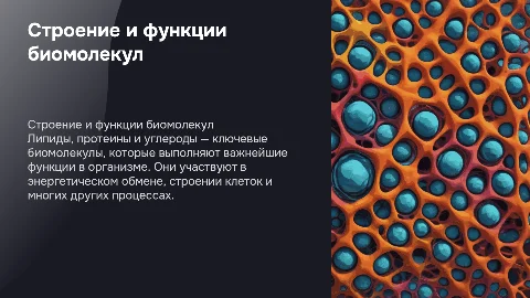 Строение и функции липидов, протеинов, углеродов