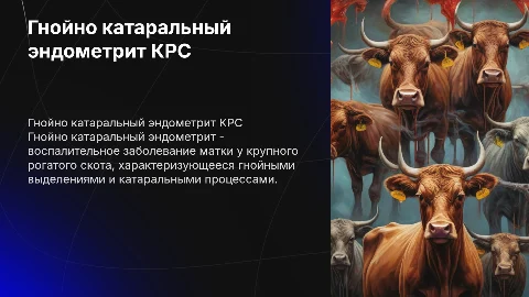 Гнойно катаральный эндометрит крс
