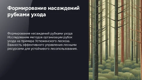 Организация формирования насаждений рубками ухода в лесхозе
