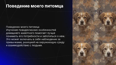 Поведенческие особенности мое домашнего животного