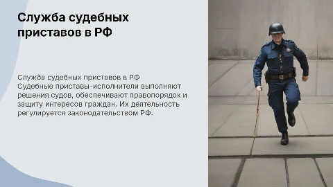 Принципы образования и деятельности службы судебных приставов