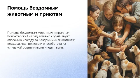 Деятельность волонтерского отряда по помощи животным
