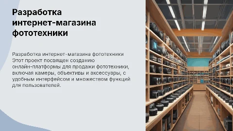 разработка интернет магазина фототехники