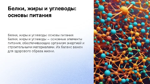 белки жиры и углеводы