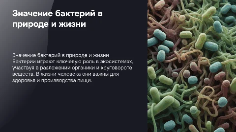 Презентация по биологии: значение бактерий в природе