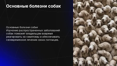 Болезни собак