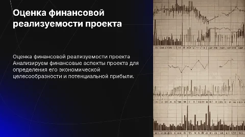 Оценка финансовой реализуемости проекта