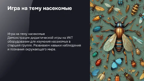 Демонстрация дидактической игры на ИКТ: насекомые вокруг нас