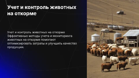 Учет и контроль животных на откорме