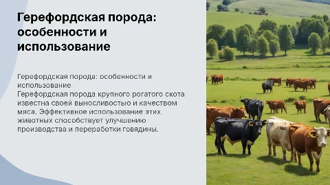 Биологические особенности герефордской породы крупного рогатого скота