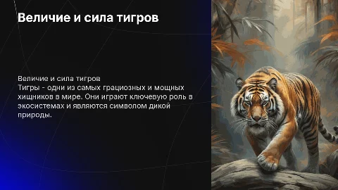 тигры