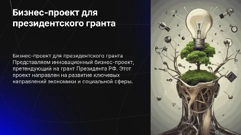 Описание бизнес проекта для подачи на грант Президента РФ