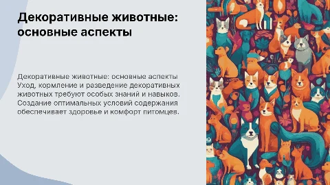 Уход и содержание декоративных животных: советы и рекомендации