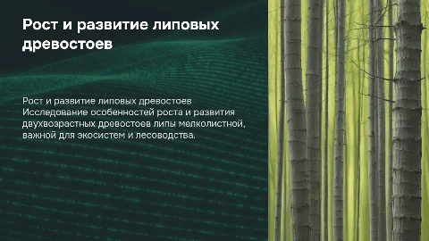 Рост и развитие двухвозрастных древостоев липы мелколистной