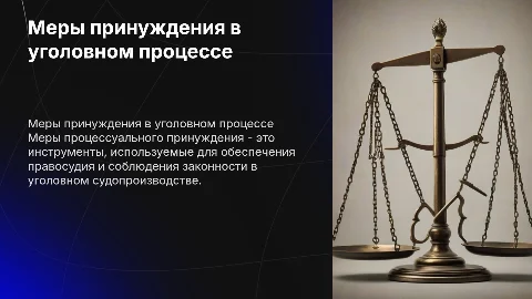 Меры процессуального принуждения в уголовном судопроизводстве